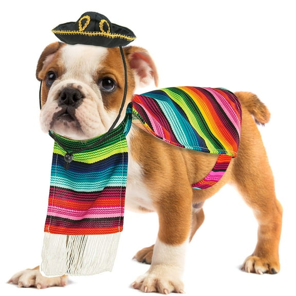 Skeleteen Mexican Serape Dog Costume - Cinco de Mayo Poncho and Sombrero Costumes for Pets (M)