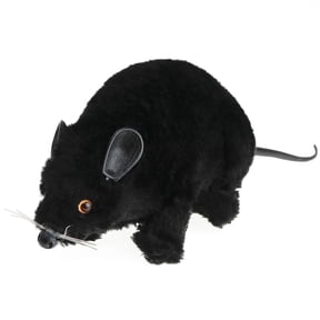 Fake Rat