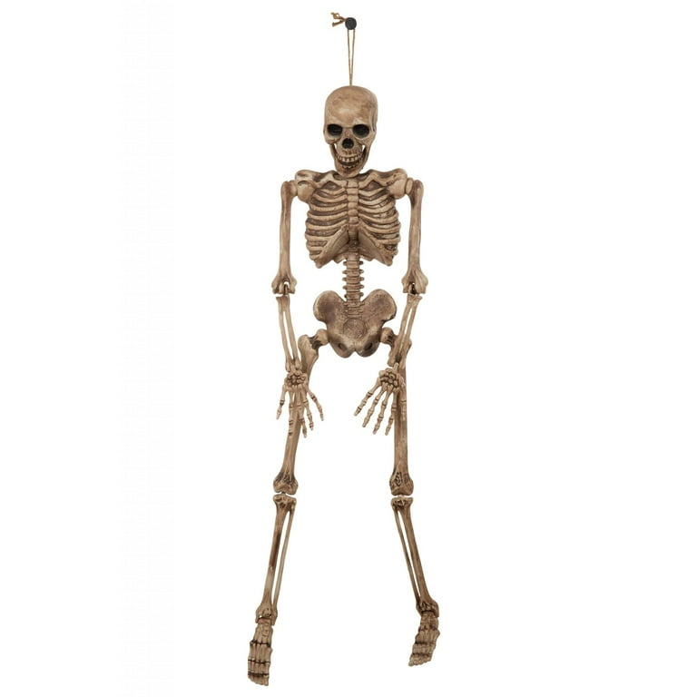 Skeleton 42 Skeleton 42