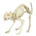 thumbnail image 1 of Skeleton Cat, 1 of 5
