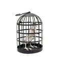 thumbnail image 1 of Skeleton Crow in 10" Hanging Cage - Realistic Halloween Decoration for Indoor & Outdoor Use | Spooky Gothic Décor for Porch, Yard & Haunted House Displays, 1 of 7