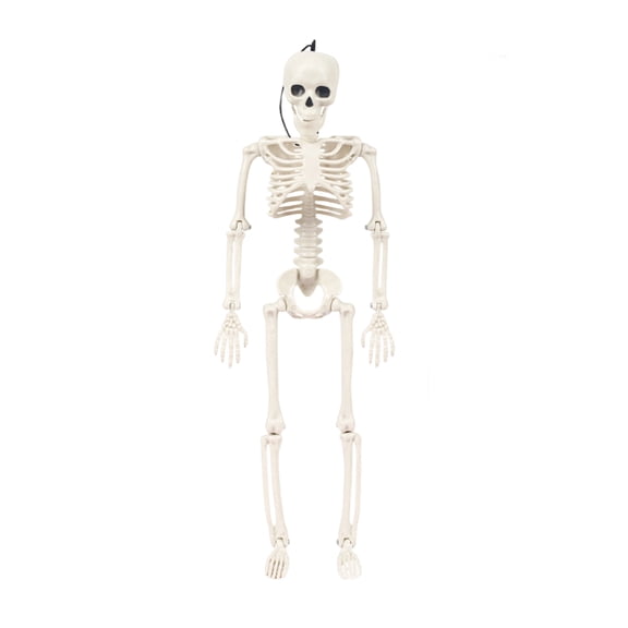 Skeleton Decoration 16 Inch Posable Plastic for Halloween Haunted House Party Use