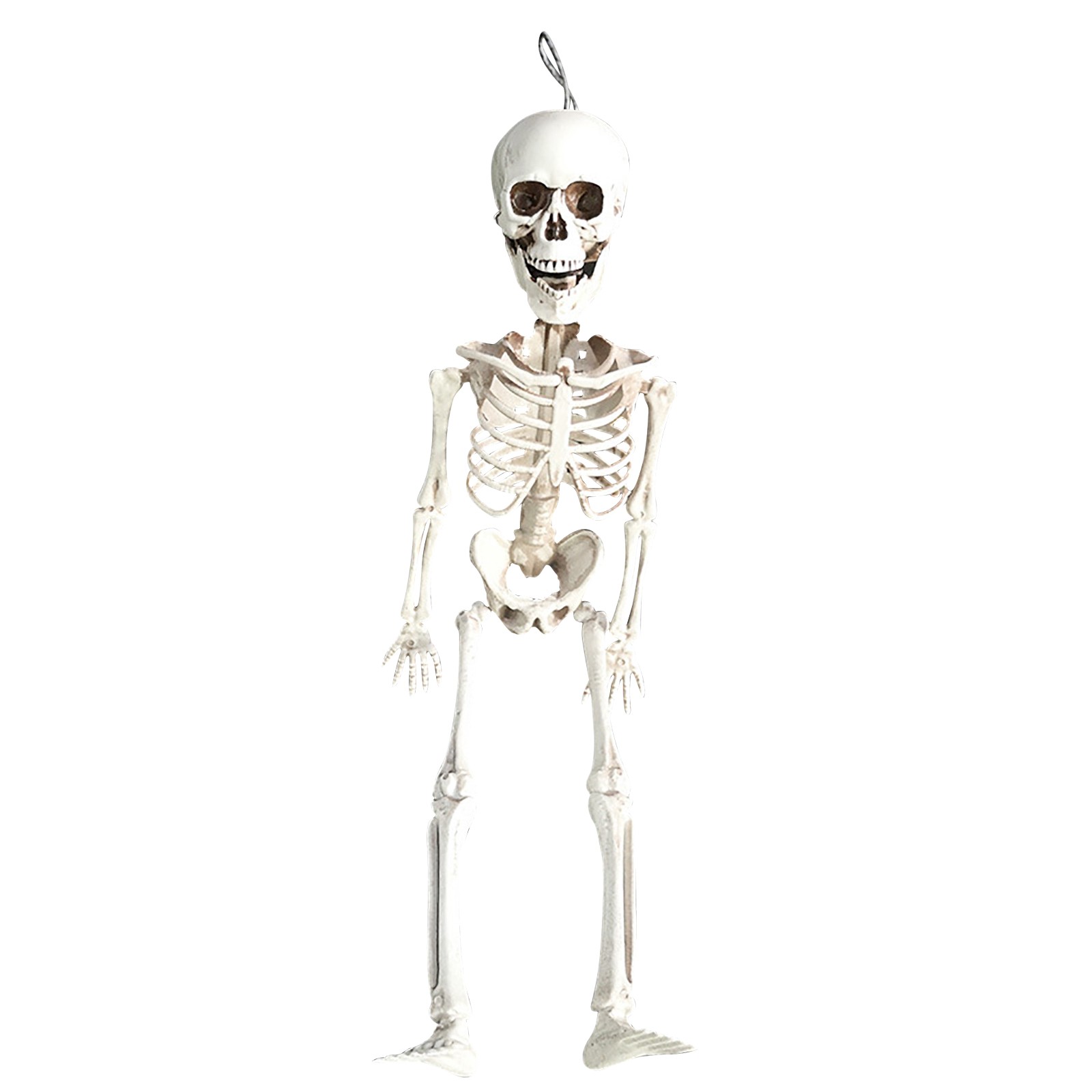 Skeleton Decorations Full Body Skeleton With Movable Joints For Decor ...