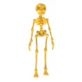 thumbnail image 1 of Skeleton Figurine Gold Magnetic Single Pack for Halloween Home Decor, 1 of 8