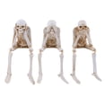 thumbnail image 1 of Skeleton Figurine for Mantel Decor Three-dimensional Scene Decor Halloween Skeleton Statue Resin See Speak Hear No Evil Figurine for Indoor for Spooky, 1 of 8