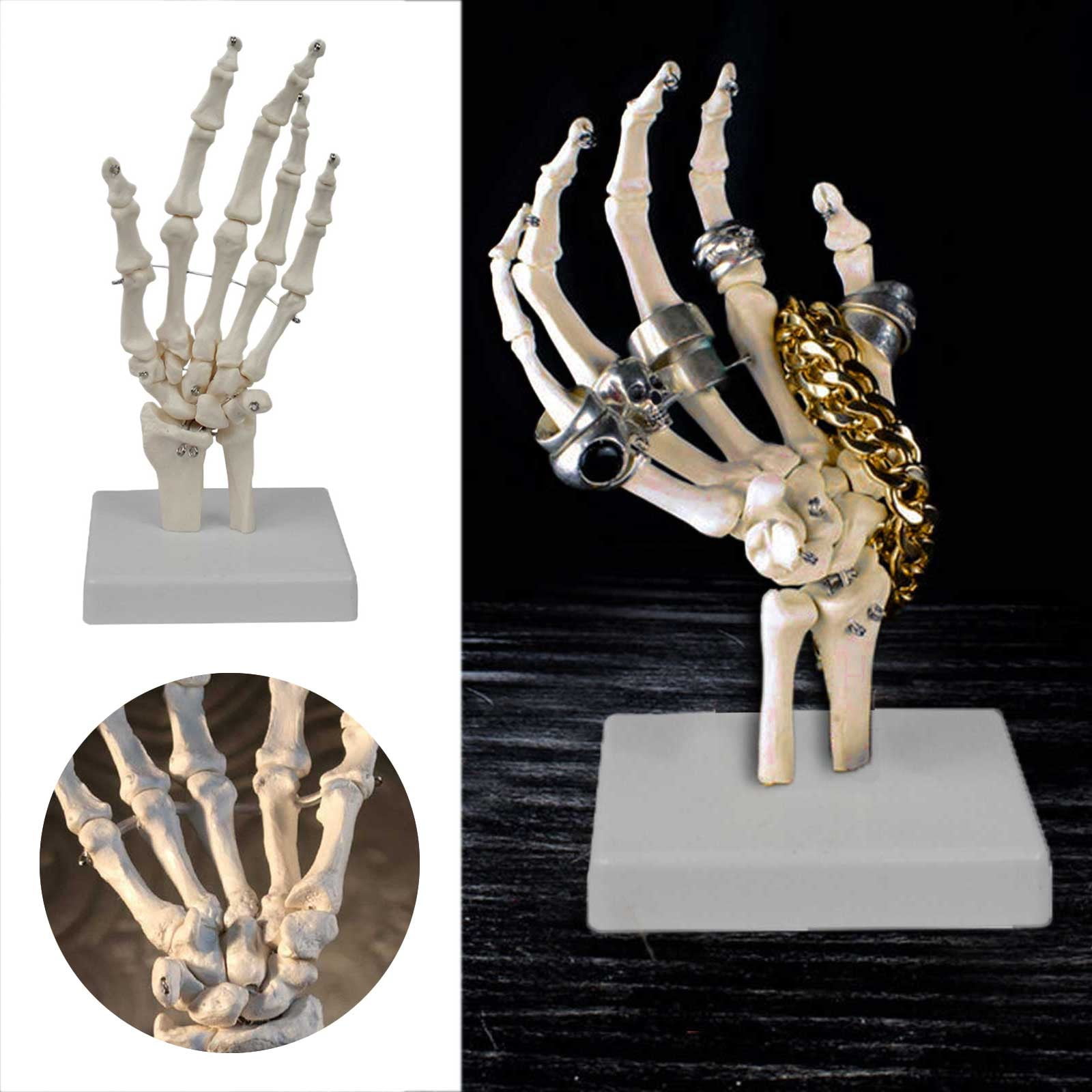 Skeleton hand 2024 jewellery holder