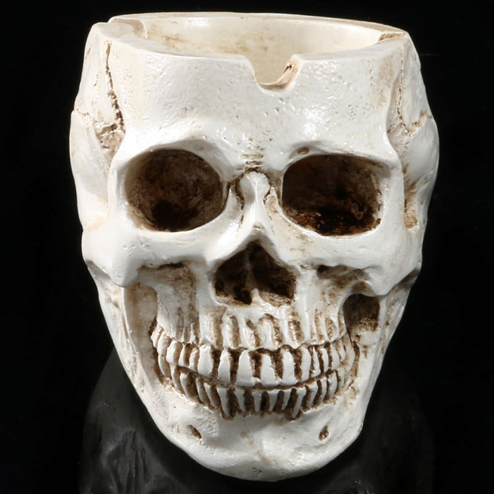 Skeleton Head Style Ashtray Resin Head ModelShower Clean Carpet
