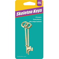 thumbnail image 1 of Skeleton Key - Single Pack, 1 of 1