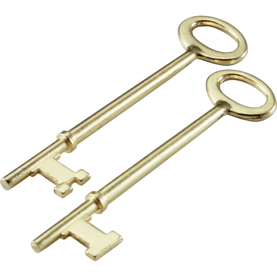 Skeleton Key - Single Pack — Residential Use, Standard Application