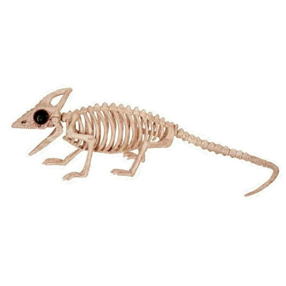 crazy bonez skeleton lizard