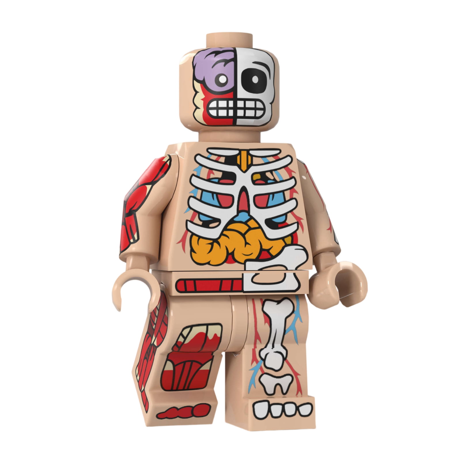Skeleton Minifigures Collectible Toys, Child Skeleton Minifigure ...