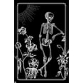 thumbnail image 1 of Skeleton - Nature Wall Poster, 22.375" x 34", 1 of 4