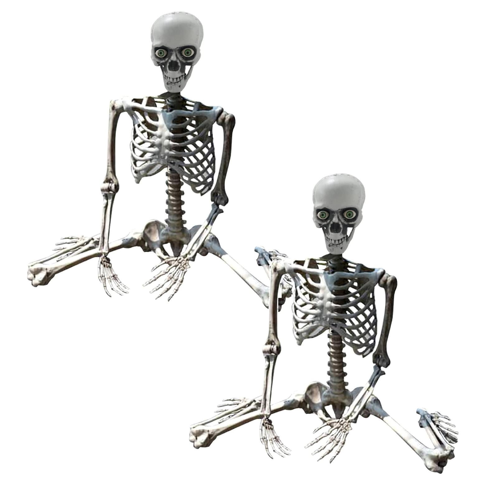 Skeleton Prop Deco Skeleton Life Size Full Body Posable Joints ...