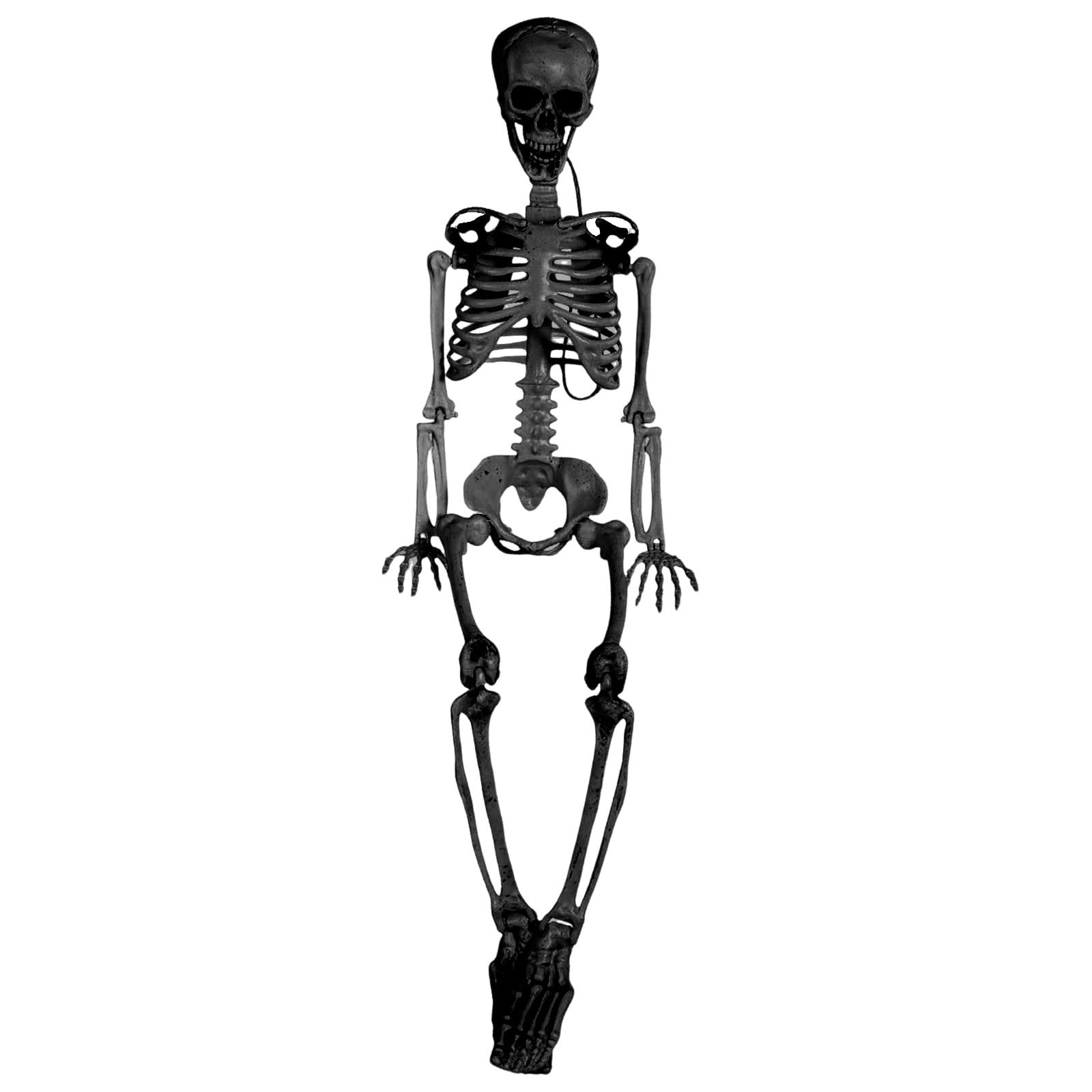 Skeleton Prop Full Size Scary Skeleton Mannequin Decoration Suitable ...