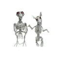 thumbnail image 1 of Skeleton Rat Crow 2pc Spooky LED Light Up Set Realistic Haunted House Prop Halloween Home Decor, 1 of 5
