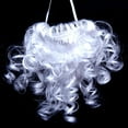 thumbnail image 1 of Skeleton Santa Beard Christmas Costume Accessory | Realistic Synthetic Fiber Beard with Strap | Festive Holiday Decoration for Skeletons & Yard Displays, 1 of 1