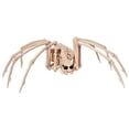 thumbnail image 1 of Skeleton Spider with Light-up Eyes Halloween Decoration, 1 of 2