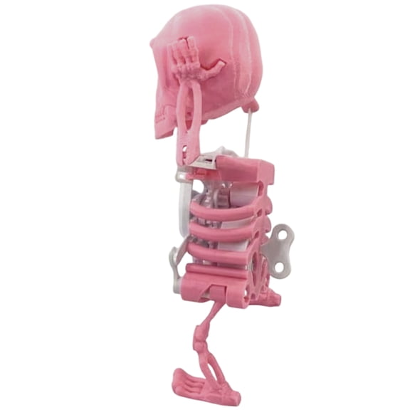 Skeleton Toy Swinging WindUp Printed for Desk Decoration and Relaxation Desk Decoration