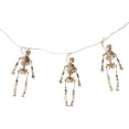 thumbnail image 1 of Skeleton, 1 of 2