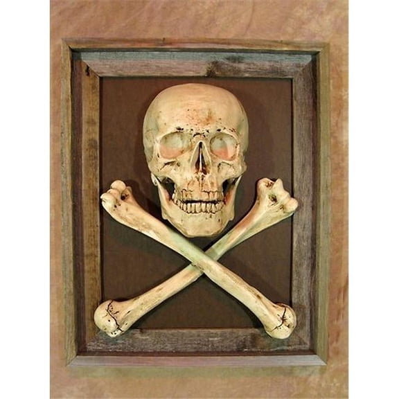 Skeletons & More PIC-300 Framed 3D Life-Size Skull & Cross Bone