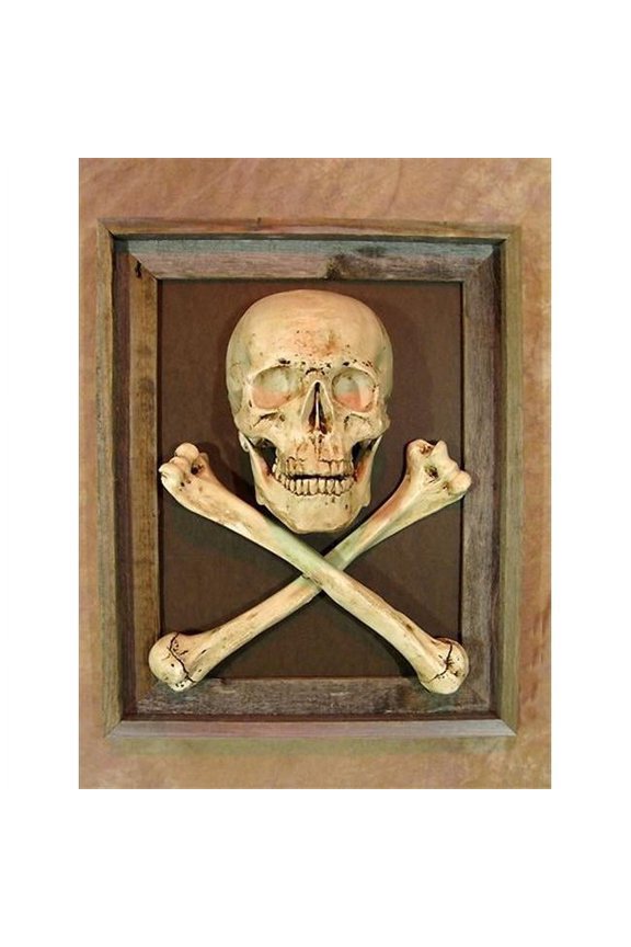 PIC-300 Framed 3D Life-Size Skull & Cross Bone