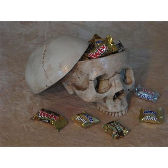 Skeletons and More CANDY-DISH Skull Candy dish