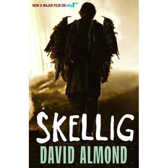 Pre-Owned Skellig (Paperback) 0340997044 9780340997048