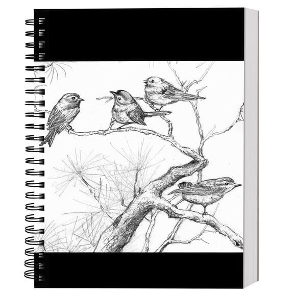 Sketch Book, 9x12 Inch 100 Sheets Spiral Sketchbook, 68LB/100GSM Acid Free Drawing Paper, Bright White, For Pencils, Pens, Pastels, Charcoal, Beginners, Artists, Professionals, Sketch Pad