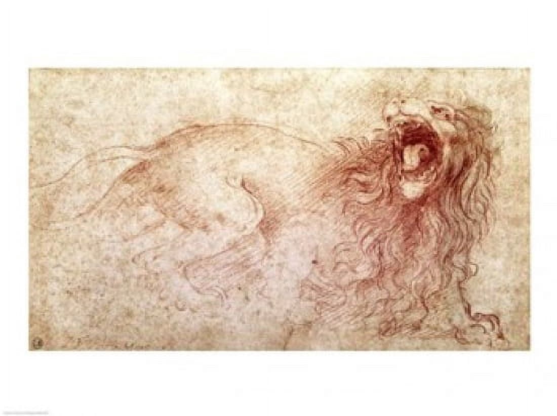 Sketch of a roaring lion Canvas Art - Leonardo Da Vinci (24 x 18)