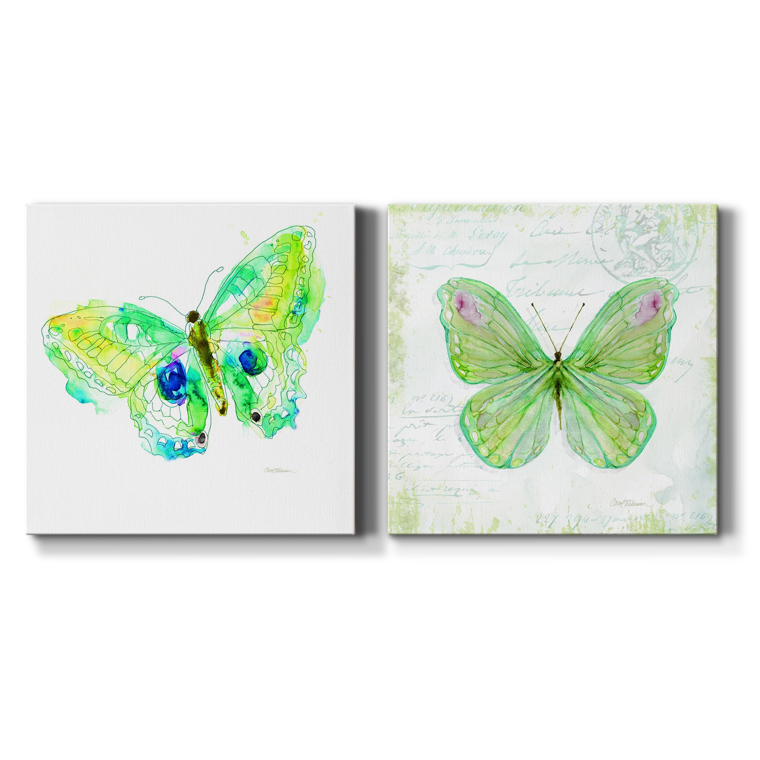 Sketchbook Butterfly II - Premium Gallery Wrapped Canvas - Ready to Hang Set of 2 - 10 x 10 Each