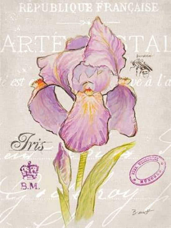Sketchbook Iris Canvas Art - Chad Barrett (22 x 28)