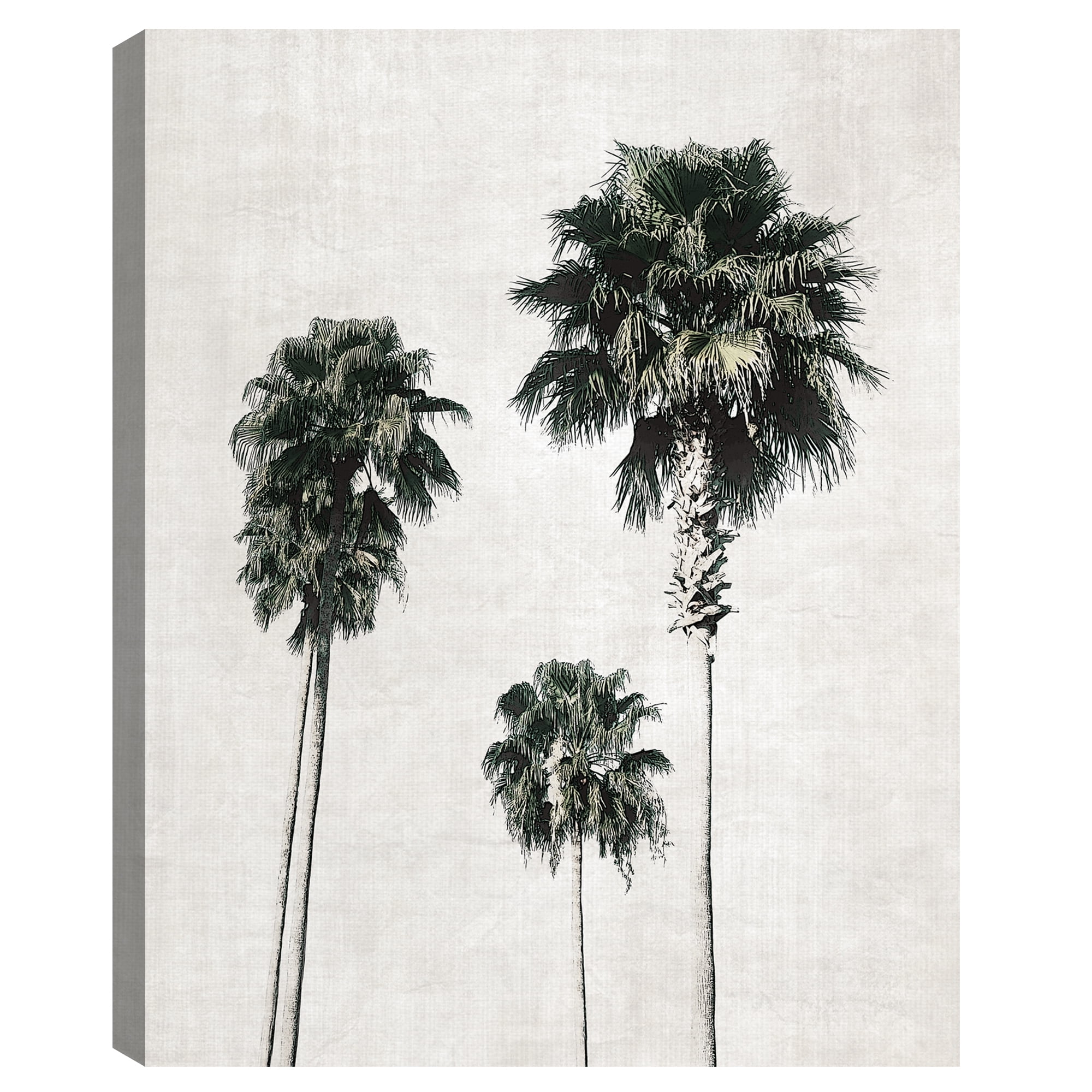 Sketchbook Palm by Natalie Carpentieri Canvas Art Print