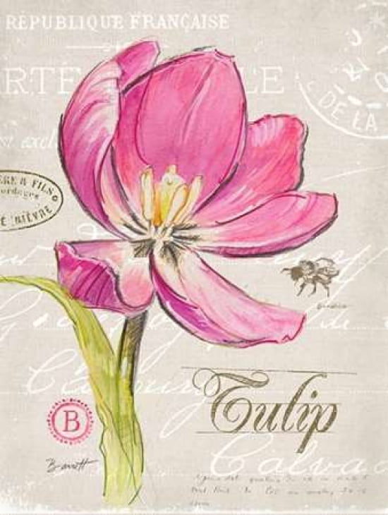 Sketchbook Tulip Canvas Art - Chad Barrett (22 x 28)