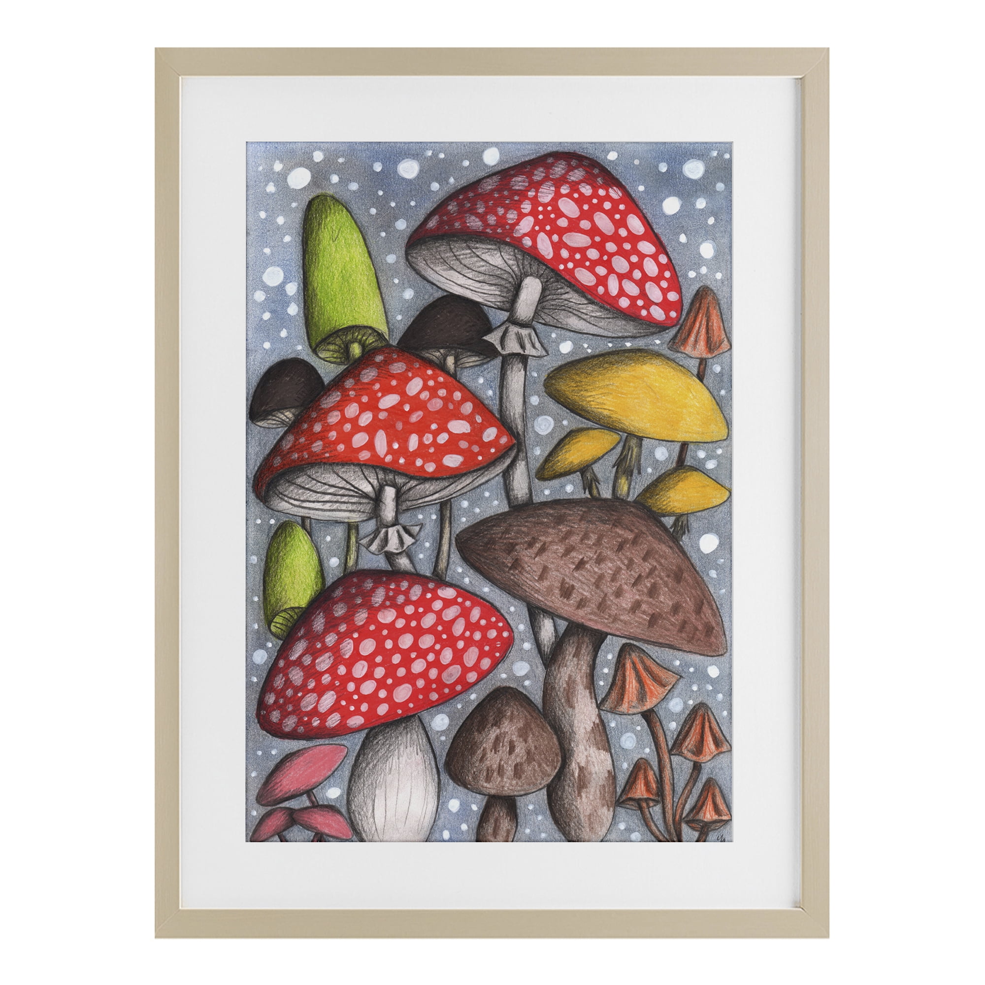 Sketched Magical Mushrooms Birch Framed Print Under Glass, design by Cecilia Battaini
