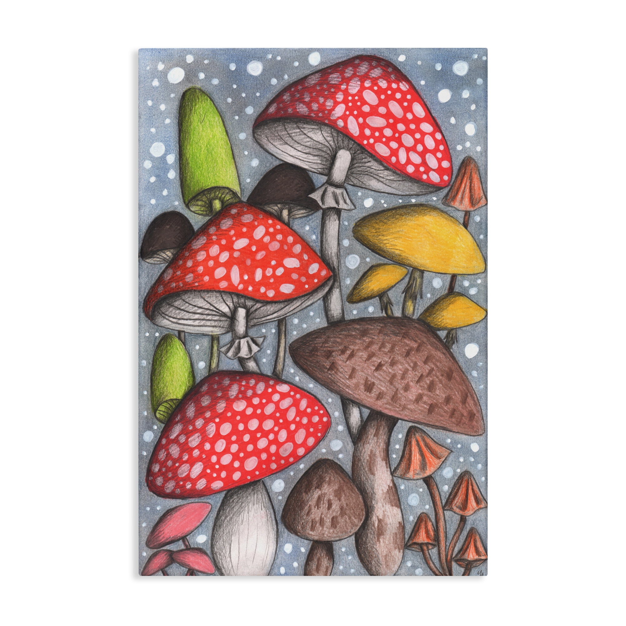 Sketched Magical Mushrooms Canvas Wall Art, design by Cecilia Battaini