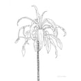 thumbnail image 1 of Sketched Tree I by Sara Zieve Miller (24 x 36), 1 of 3