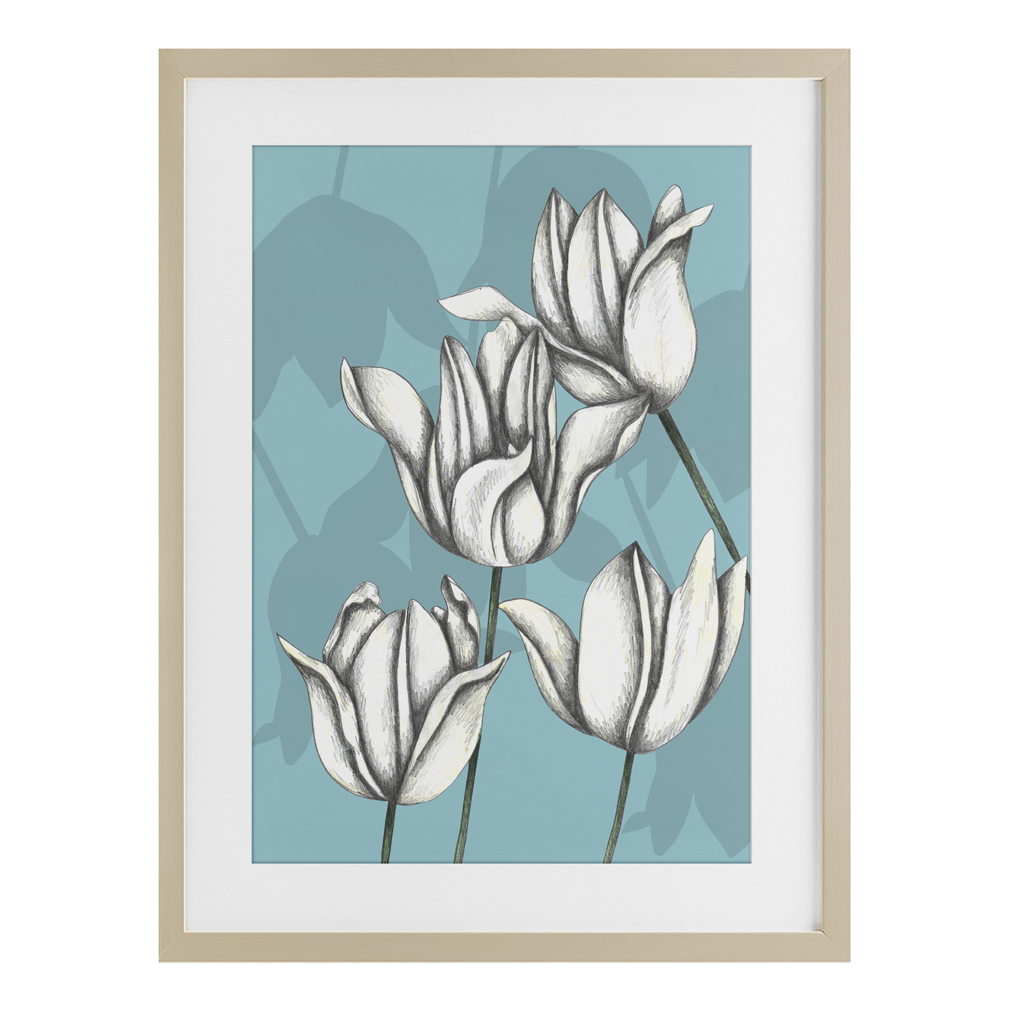 Sketched Tulips Keep Growing Birch Framed Print Under Glass, design by Cecilia Battaini