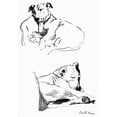 thumbnail image 1 of Sketches Of A Bull Terrier By Cecil Aldin Poster Print By Mary Evans Picture Library (18 X 24), 1 of 3