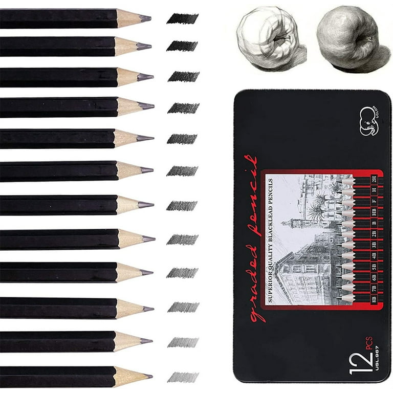 Sketching Pencils,Casewin 12pcs Drawing Pencils Professional Set 8B 7B 6B  5B 4B 3B 2B B HB F H 2H Art Pencils for Adults Artists Beginners Students