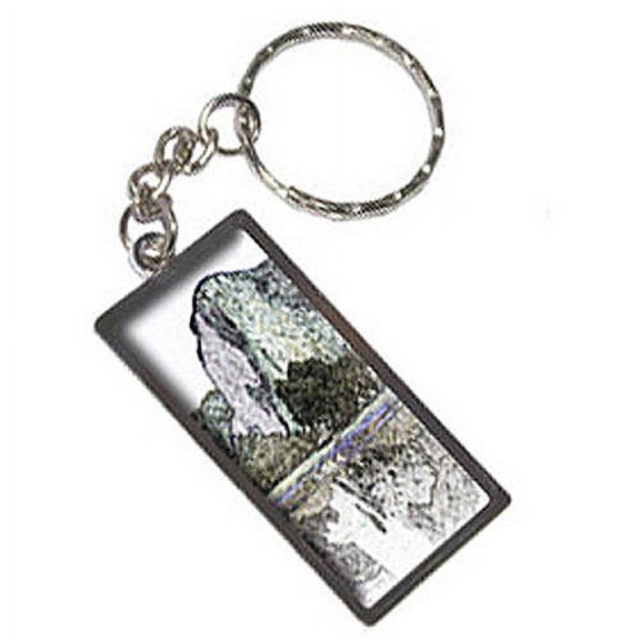 Sketchy El Capitan Yosemite Keychain Key Chain Ring