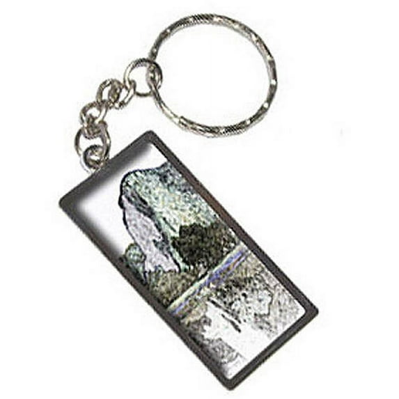 Sketchy El Capitan Yosemite Keychain Key Chain Ring