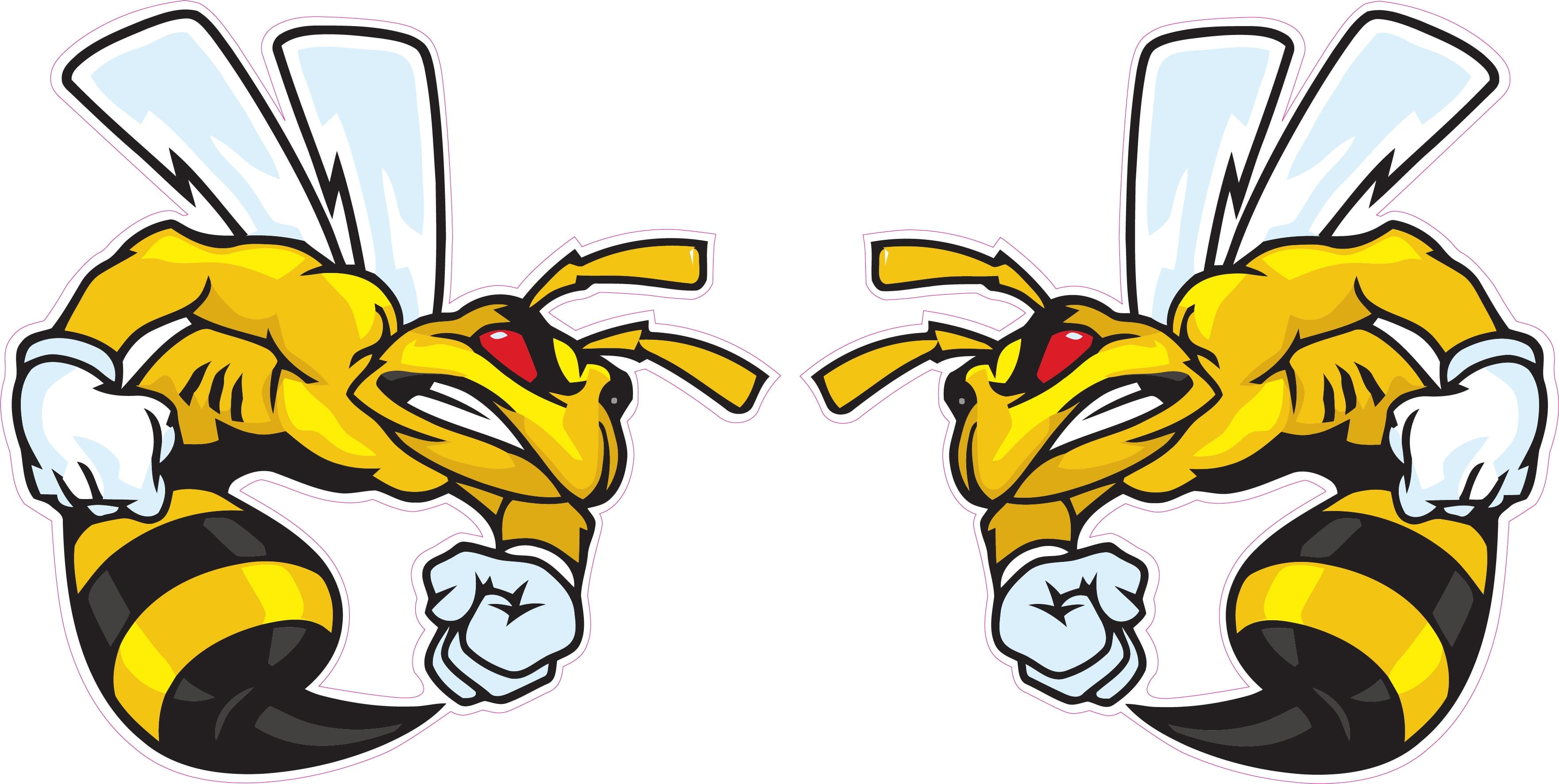 Nostalgia Decals Ski-Doo Angry Bee 12" Pair Decal