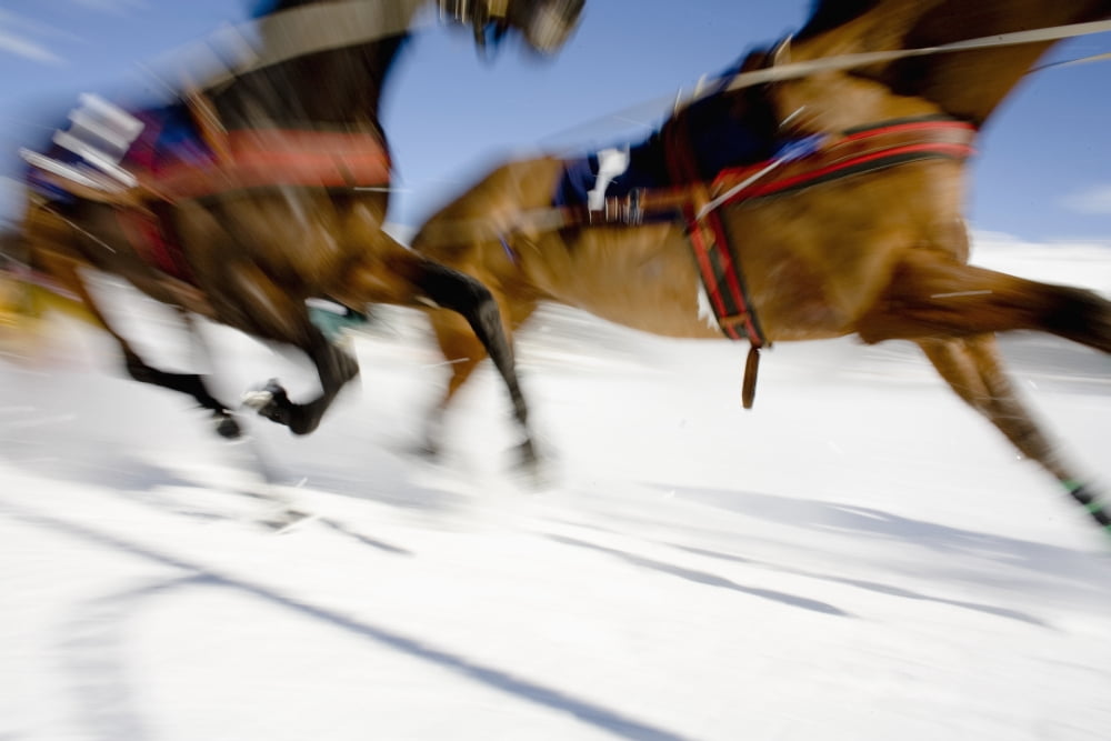Ski Joring Race Canvas Art - Vicki Couchman Design Pics (38 x 24)