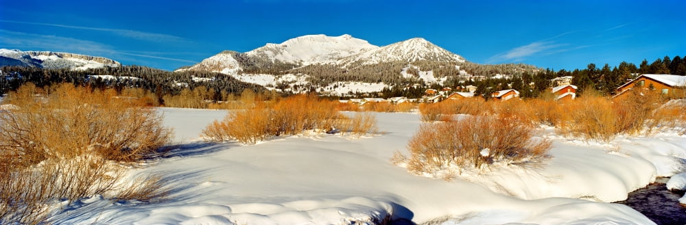 Ski resort Mammoth Mountain Ski Area Mammoth Lakes Mono County California USA Canvas Art - Panoramic Images (27 x 9)