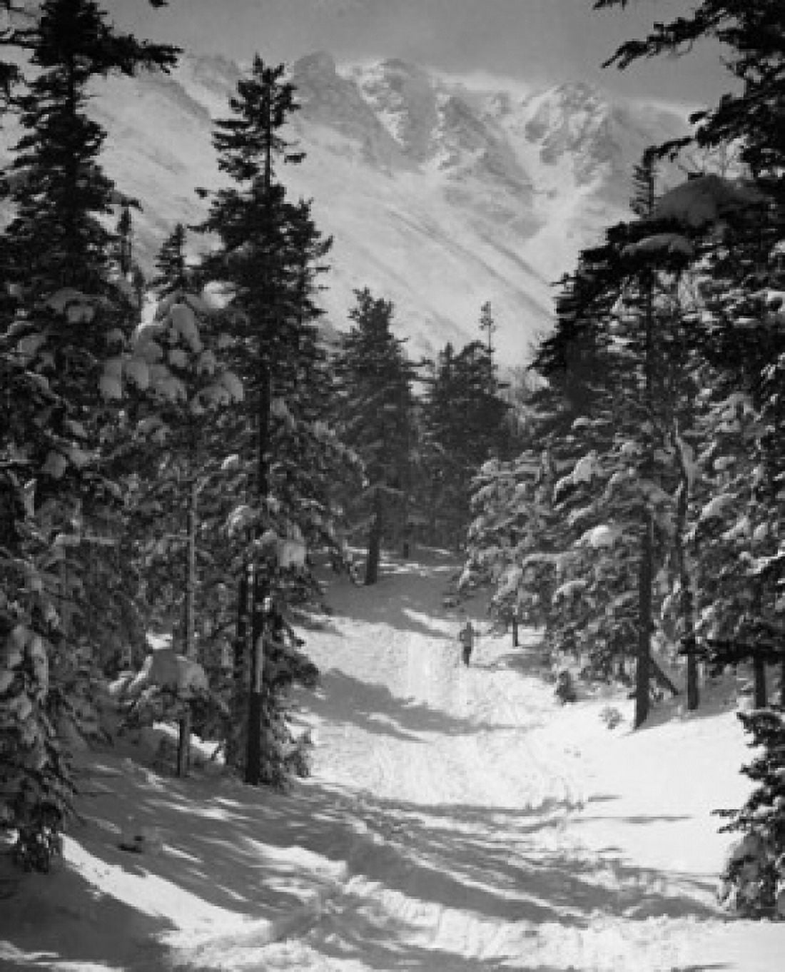 Ski tracks on a snow covered landscape Mount Washington New Hampshire USA Canvas Art - (18 x 24)