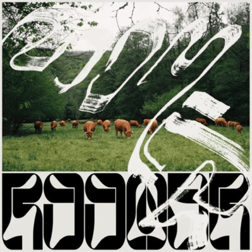 Roomer Skice (Vinyl Record) 10" EP