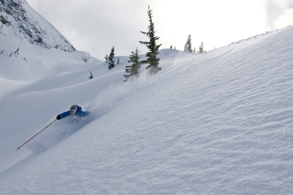 Skier Shredding Powder Below Nak Peak Thar Basin Cascade Mountains British Columbia Canvas Art - Kurt Werby Design Pics (17 x 11)