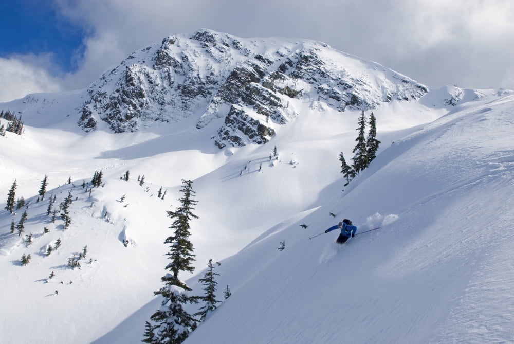 Skier Shredding Powder Below Nak Peak Thar Basin Cascade Mountains British Columbia Canvas Art - Kurt Werby Design Pics (34 x 22)