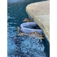 thumbnail image 1 of Skimmer Shield Protective Pool Skimmer Net System, Stainless Steel, 1 Count, 1 of 5
