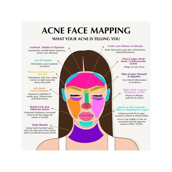Skin Care Facial Chart Poster Reference Guide Canvas Print Wall Art for Spa Esthetician Skincare Studio Home Decor Educational Beauty